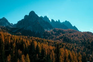 Jak Kotkas pomaga w monitorowaniu recyklingu — studium przypadku estońskich firm