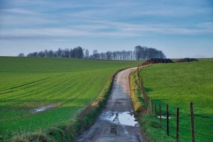 Podatki w Łotwie: Kluczowe Informacje i Nowości dla Przedsiębiorców